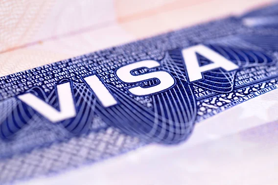 Latest Visa Updates for 2024: What You Need to Know Before Planning Your Study Abroad Journey